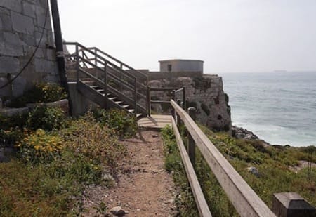 Government moves to designate Europa Foreshore as a protected archaeological site
